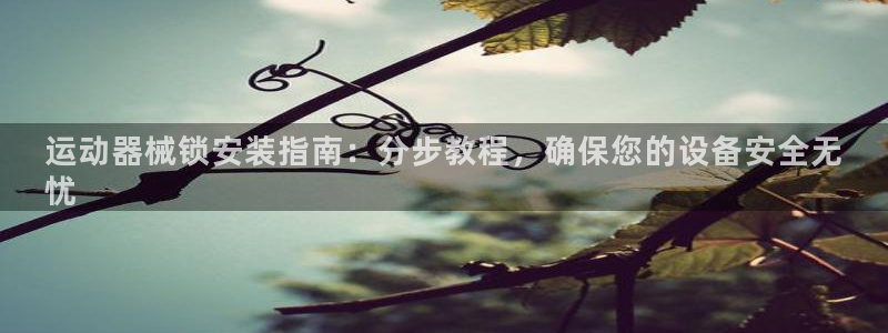 尊龙凯时凯发官网：运动器械锁安装指南：分步教程，确保