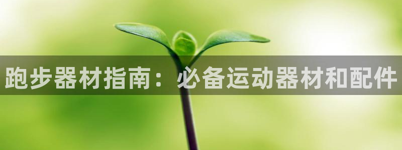 尊龙集团有限公司是国企吗：跑步器材指南：必备运动器材