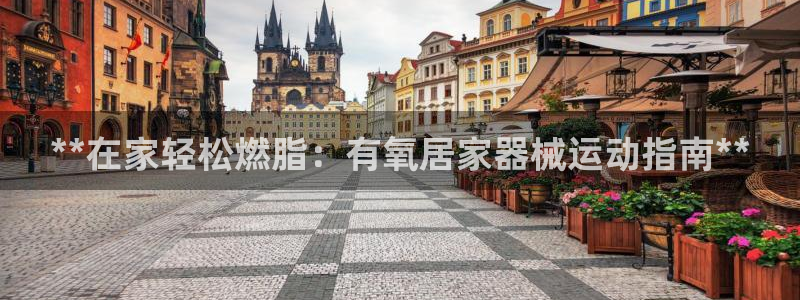 尊龙凯时人生就博官网：**在家轻松燃脂：有氧居家器械