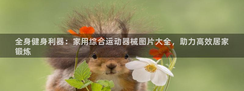 尊龙集团有限公司官网地址