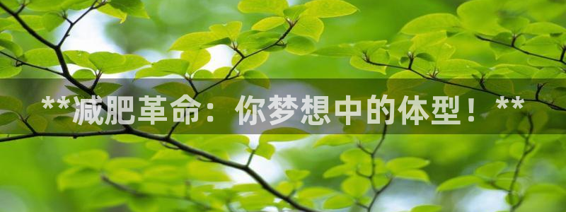尊龙AG旗舰店：**减肥革命：你梦想中的体型！**