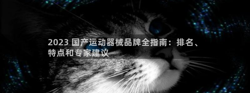 尊龙人生就是博电脑版：2023 国产运动器械品牌全指