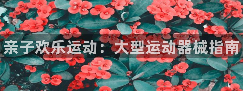 尊龙凯时是赌博嘛：亲子欢乐运动：大型运动器械指南