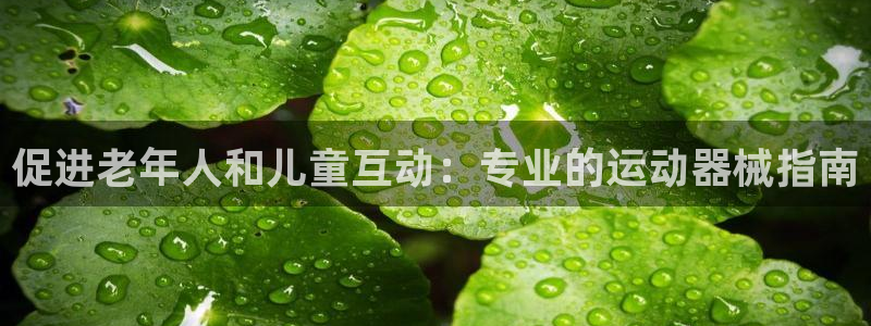 尊龙凯时平台还是万博好：促进老年人和儿童互动：专业的