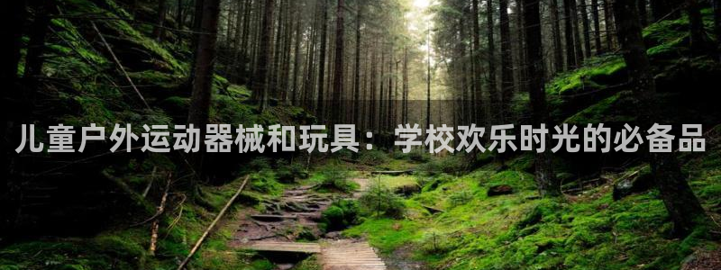 尊龙凯时app产品介绍：儿童户外运动器械和玩具：学校
