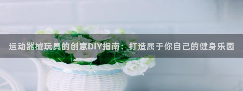 尊龙凯时平台还是万搏好：运动器械玩具的创意DIY指南