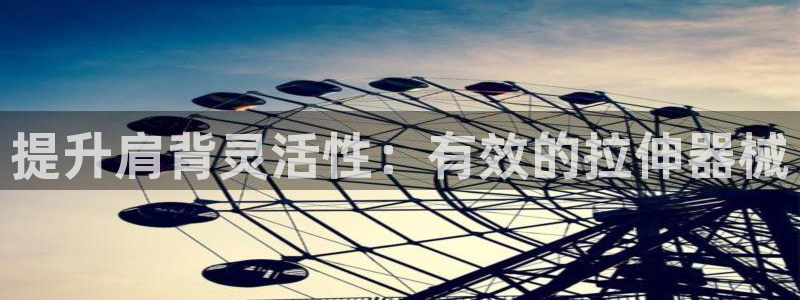 尊龙凯时网站不让提款：提升肩背灵活性：有效的拉伸器械