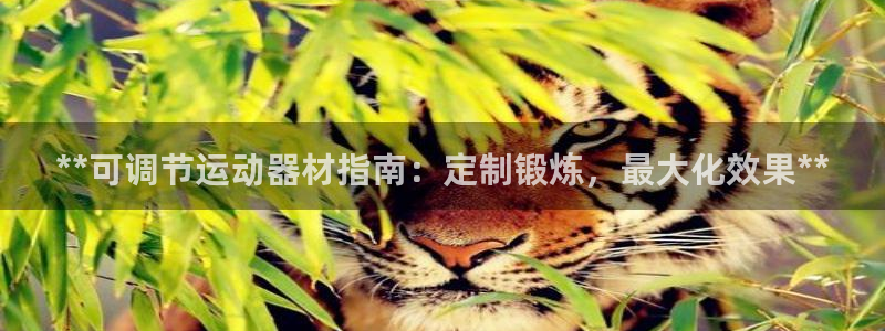 尊龙官方：**可调节运动器材指南：定制锻炼，最大化效