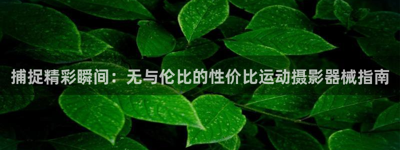 尊龙会：捕捉精彩瞬间：无与伦比的性价比运动摄影器械指
