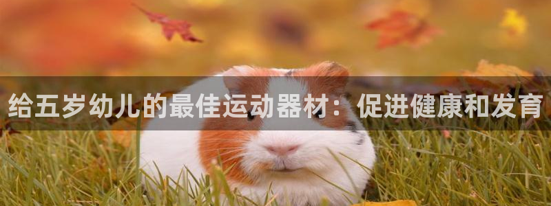 z6com尊龙凯时代理：给五岁幼儿的最佳运动器材：促