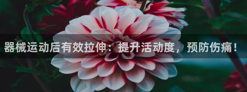 尊龙d88官网赢来就送38：器械运动后有效拉伸：提升