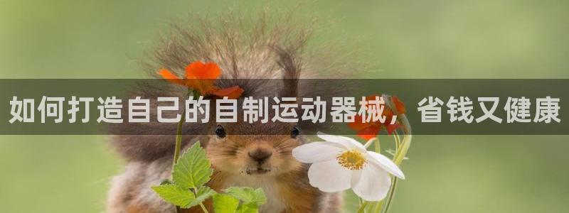 尊龙凯时正规吗：如何打造自己的自制运动器械，省钱又健