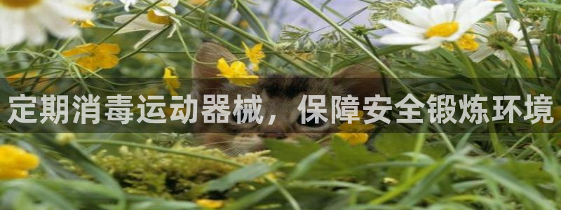 尊龙凯时ag旗舰厅官方网站：定期消毒运动器械，保障安