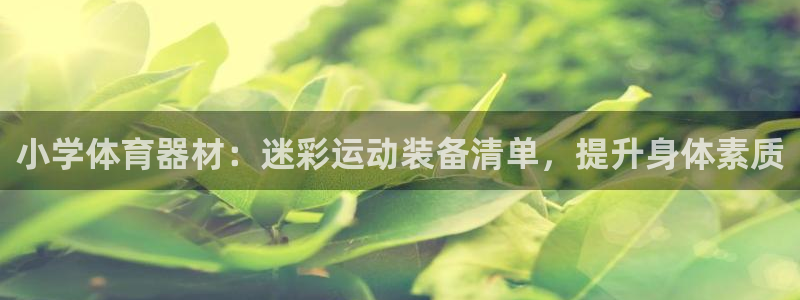 尊龙凯时干什么的：小学体育器材：迷彩运动装备清单，提