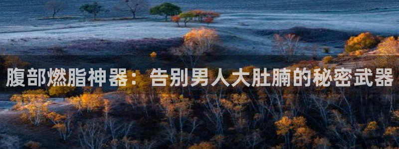 尊龙凯时返现：腹部燃脂神器：告别男人大肚腩的秘密武器