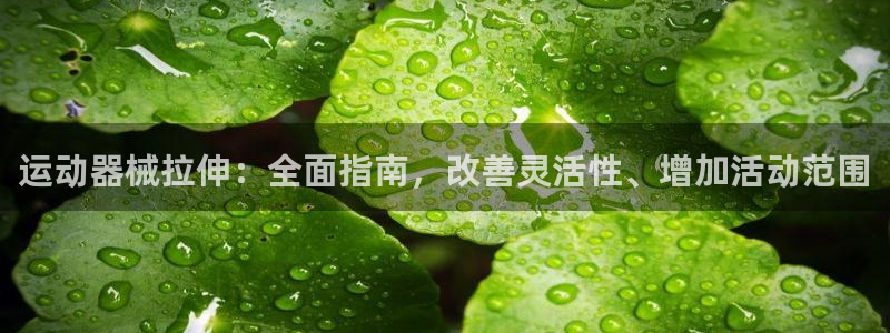 凯时国际娱乐官方网址：运动器械拉伸：全面指南，改善灵
