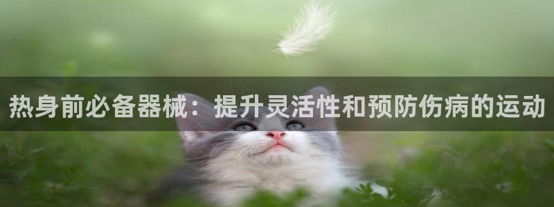 凯时k66娱乐登录：热身前必备器械：提升灵活性和预防
