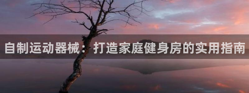 尊龙人生就是博旧版网址：自制运动器械：打造家庭健身房
