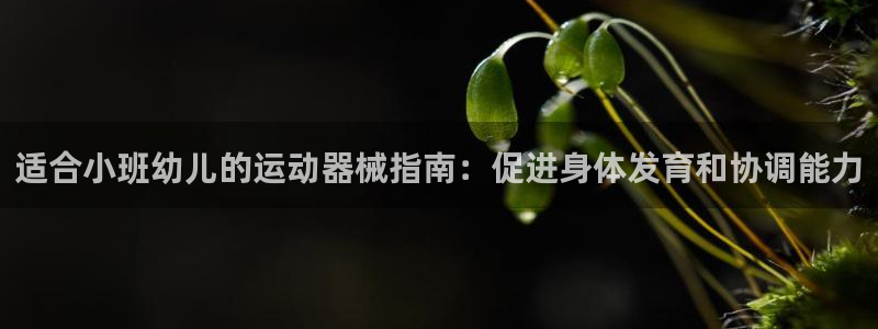 尊龙人生就是博电脑版：适合小班幼儿的运动器械指南：促