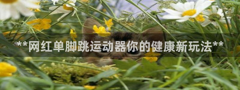 尊龙APP客户端平台：**网红单脚跳运动器你的健康新