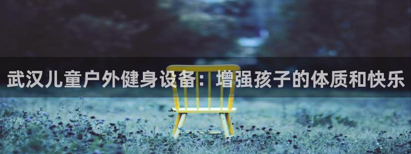 尊龙凯时家居是品牌吗：武汉儿童户外健身设备：增强孩子