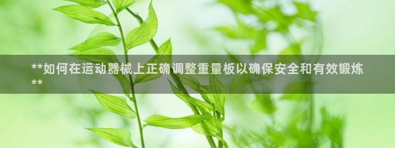 尊龙凯时美金能提取吗：**如何在运动器械上正确调整重