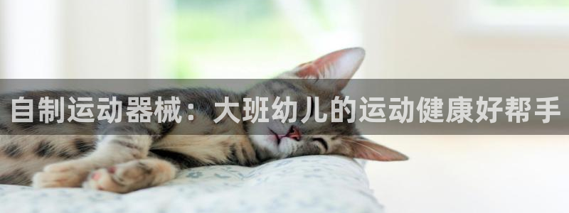 z6com尊龙：自制运动器械：大班幼儿的运动健康好帮