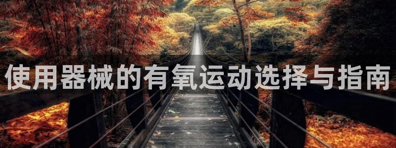 尊龙2016：使用器械的有氧运动选择与指南