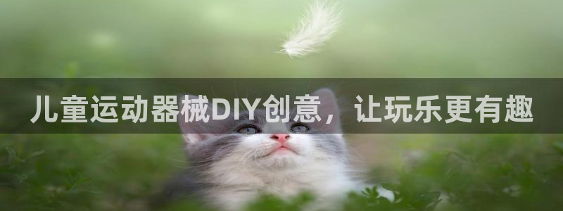 尊龙凯时只输不赢：儿童运动器械DIY创意，让玩乐更有