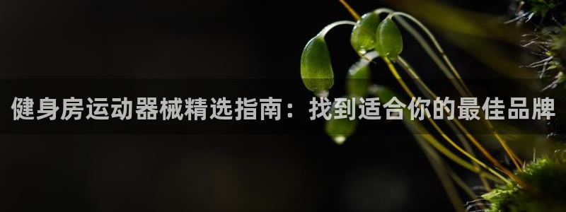 尊龙现金：健身房运动器械精选指南：找到适合你的最佳品