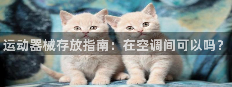 尊龙凯时平台正规吗：运动器械存放指南：在空调间可以吗