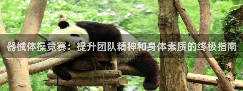 凯时国际最新：器械体操竞赛：提升团队精神和身体素质的