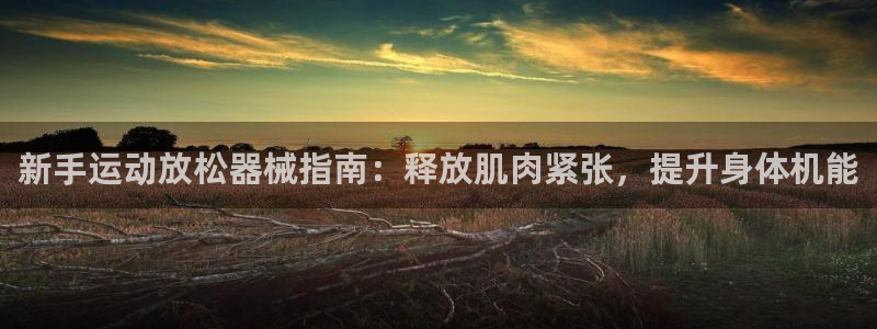 尊龙人生就是博l：新手运动放松器械指南：释放肌肉紧张