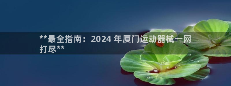 尊龙凯时代理：**最全指南：2024 年厦门运动器械