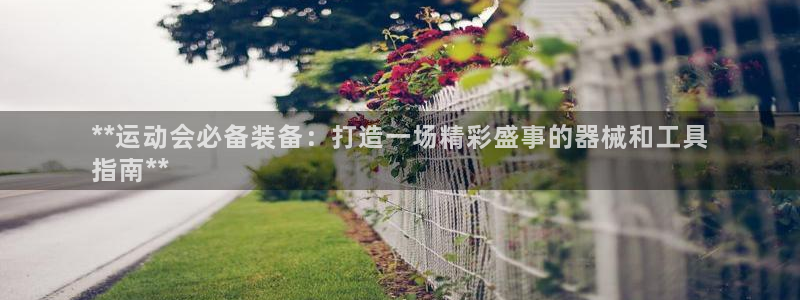 尊龙ag旗舰厅官网官方入口：**运动会必备装备：打造