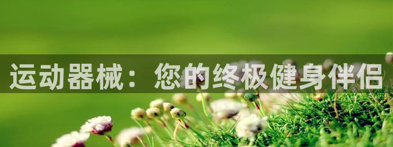 尊龙最新版：运动器械：您的终极健身伴侣