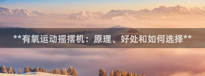 尊龙凯时平台有没有不到账的：**有氧运动摇摆机：原理