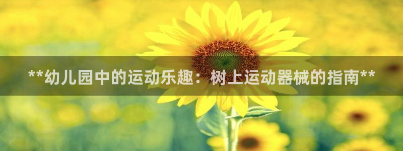 尊龙官方：**幼儿园中的运动乐趣：树上运动器械的指南