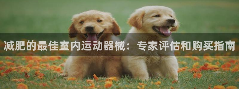 尊龙d88现金 旧版本可靠送38元：减肥的最佳室内运
