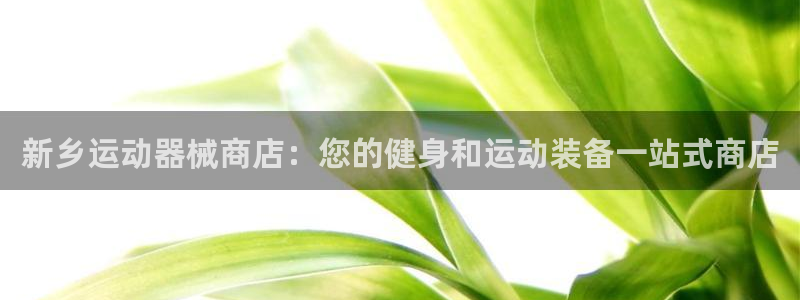 尊龙凯时提不了款：新乡运动器械商店：您的健身和运动装