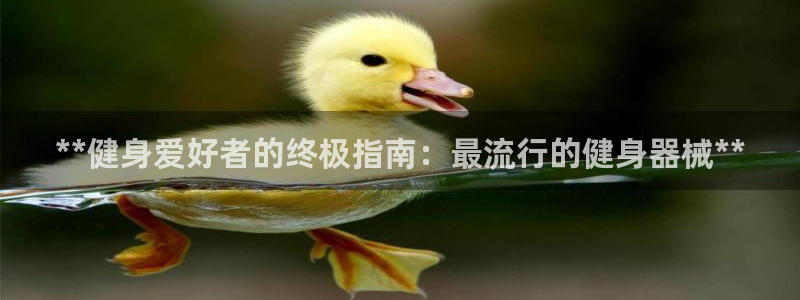 尊龙人生就是博：**健身爱好者的终极指南：最流行的健