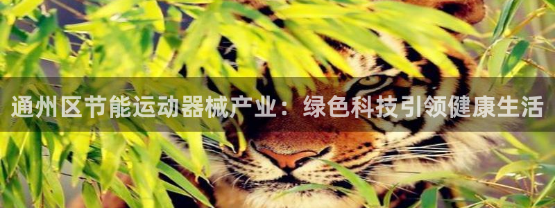 尊龙集团：通州区节能运动器械产业：绿色科技引领健康生