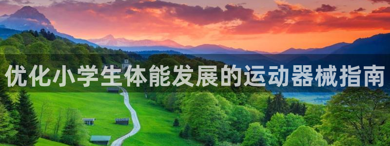 z6尊龙凯时官方：优化小学生体能发展的运动器械指南