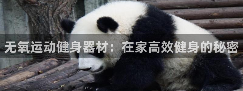 尊龙凯时有限公司：无氧运动健身器材：在家高效健身的秘