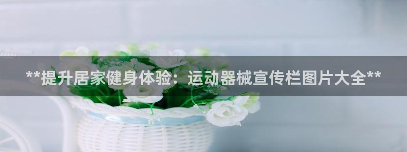 尊龙凯时官网：**提升居家健身体验：运动器械宣传栏图