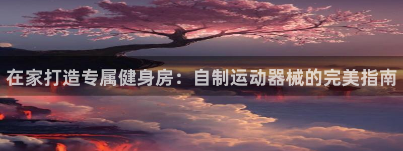尊龙凯时ag旗舰：在家打造专属健身房：自制运动器械的