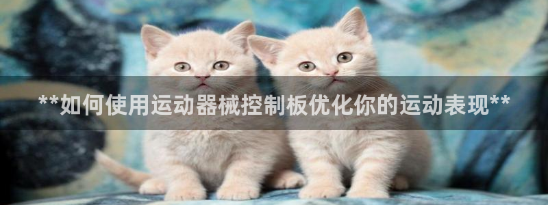 尊龙新版官网网页版：**如何使用运动器械控制板优化你