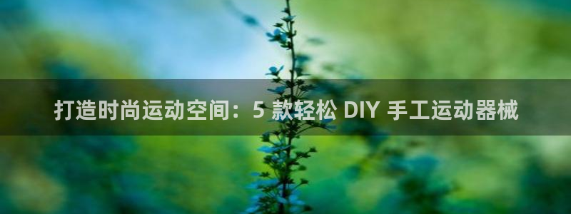尊龙凯时福米推荐人：打造时尚运动空间：5 款轻松 D