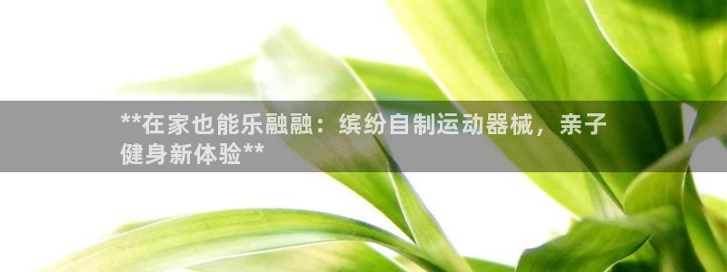 d88尊龙官方网：**在家也能乐融融：缤纷自制运动器