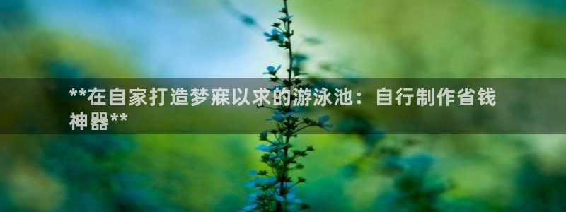 尊龙凯时取款有要求吗：**在自家打造梦寐以求的游泳池